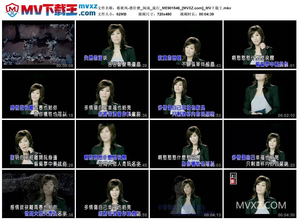 蔡秋凤-憨什麽_闽南_流行_ME901546